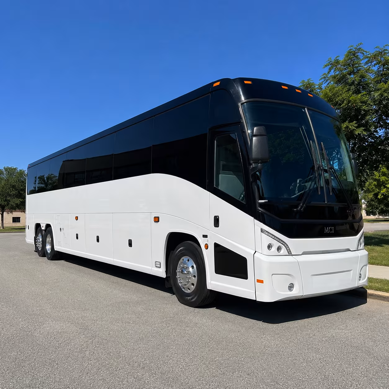 charter buses for large birthday celebrations across pinellas county