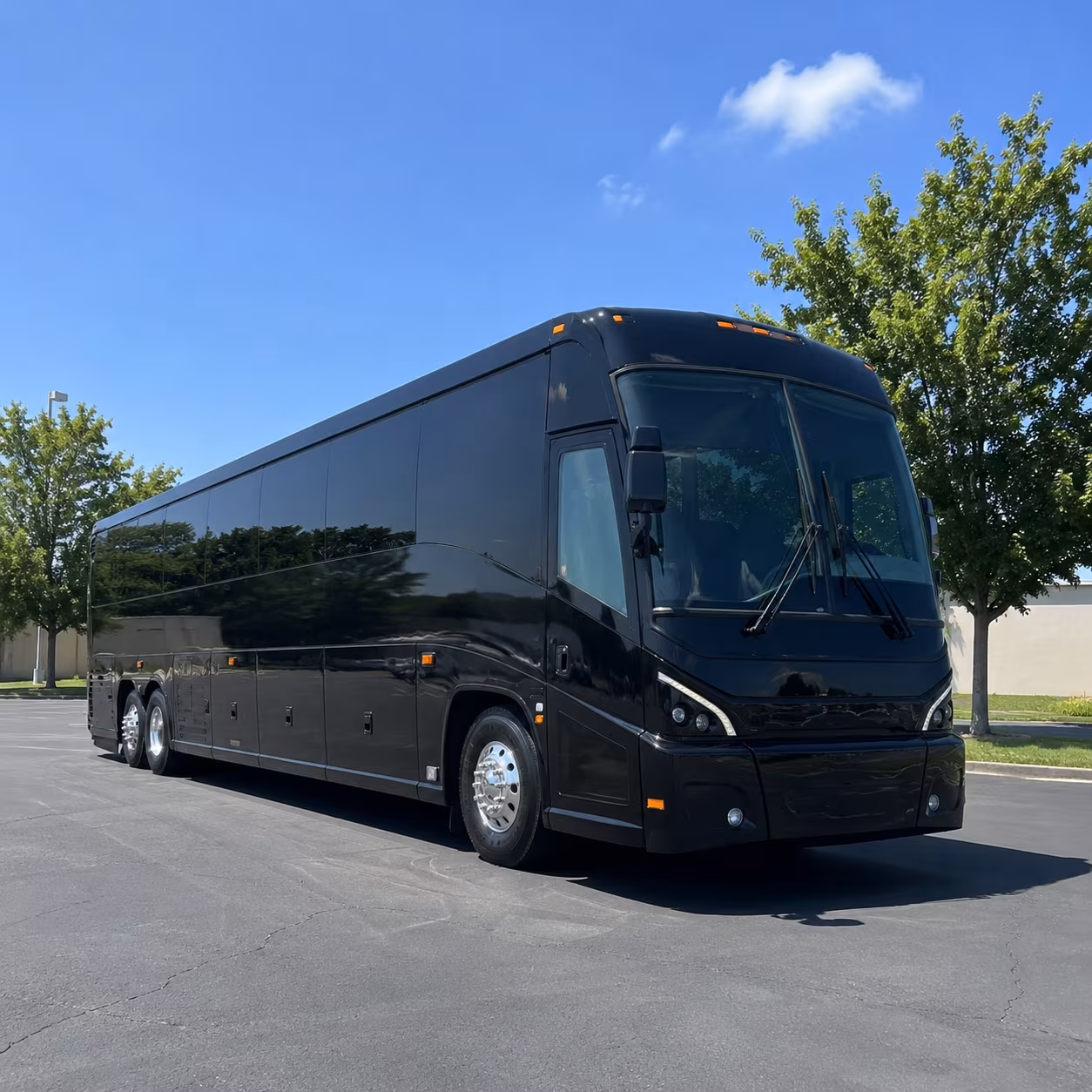 st petersburg 56 passenger charter bus