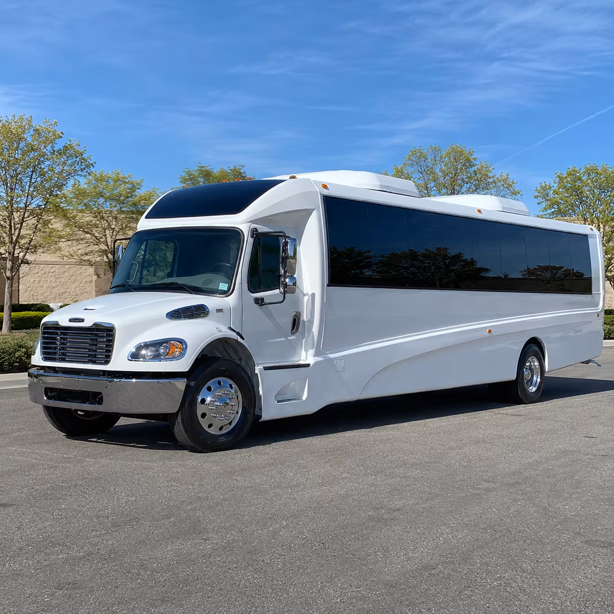 st petersburg birthday party transportation