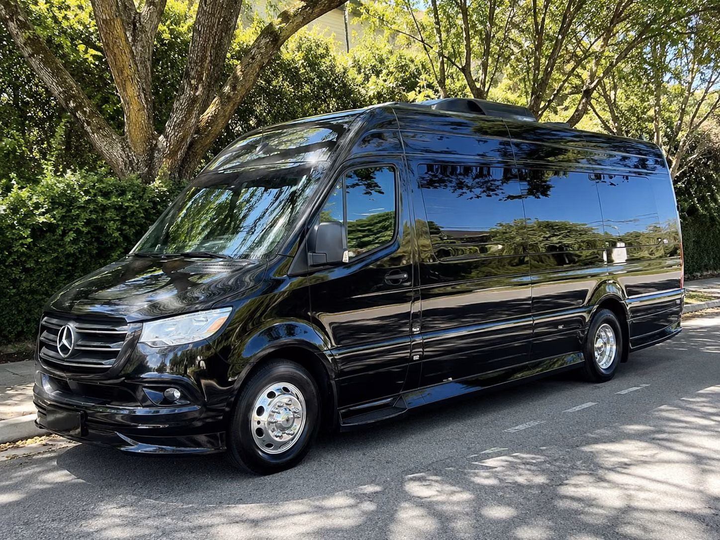 st petersburg sprinter van with driver